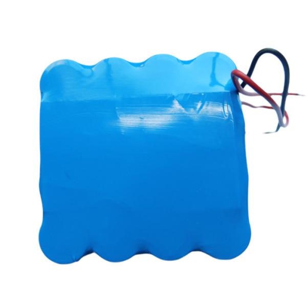 2.5 Hours Rapid Charge 10A 1.0C5A Electric Bike Lithium Battery