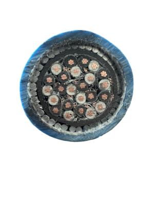                    Low Voltage High Performance Pair and Triple Cores XLPE Insulated Power Cable for Extreme Conditions Armored Instrumentation Cable Ia Cable             