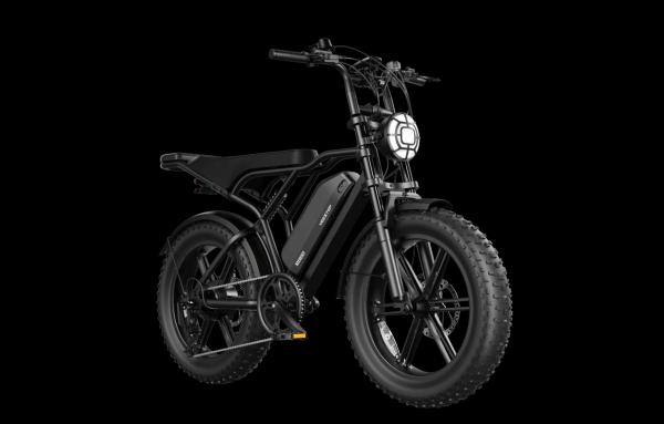 Step Over Fat Tire Ebike for Men 750W Motor with LCD Display Long Range Fat Tire Electric Bike