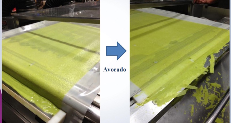 40kg/H Egg Powder Refractance Window Dryer Pump PLC Gear Motor Avocado Powder | Low Temperature Drying | Food Grade SUS304/316 | Food