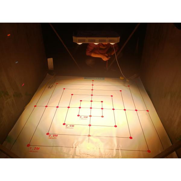 4.2KGS Horticulture Cob Led Grow Light 300W Indoor Plants 780nm