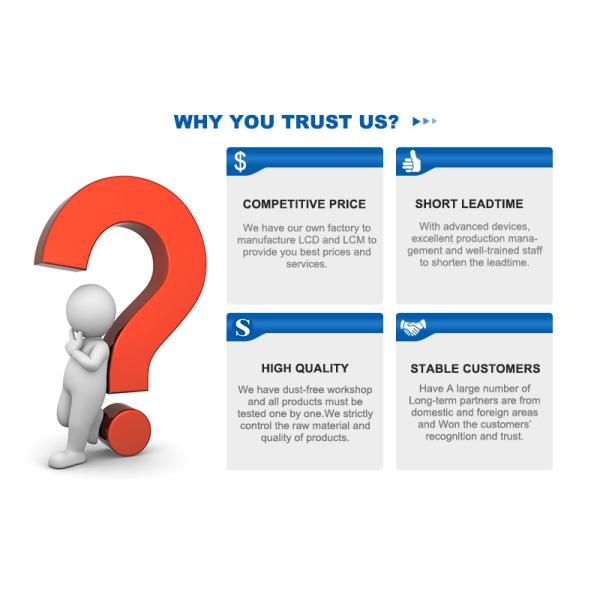 Подгонянный обломок на стекле 7 делит на сегменты положительную матрицу графика дисплея LCD