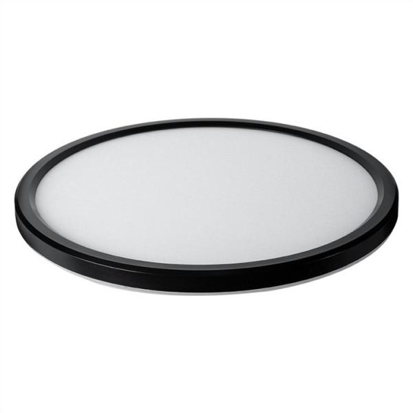 100lm/W Dimmable Living Room Ceiling Lights IP44 24W 16 Inch
