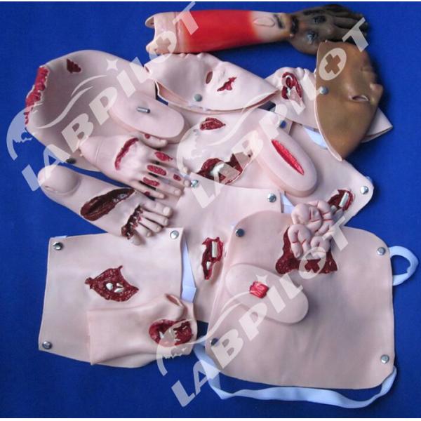 Comprehensive Nursing Mannequin for Trauma Care and Wound Management in Human Life Size