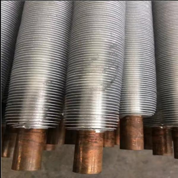 DELLOK Stainless Steel Mill Ring Die 2-3mm For Calf Lamb Piglet