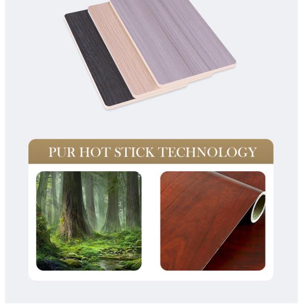 Горячие панели стены облицовки древесины угля зерна древесины доказательства огня и насекомого продажи бамбуковые