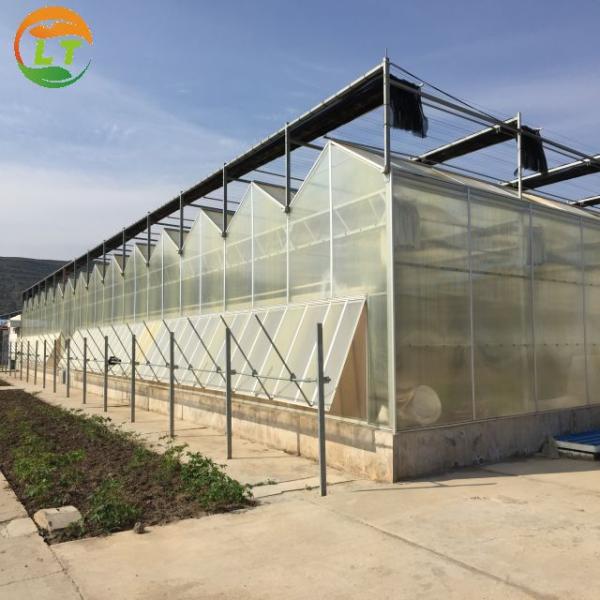 Large Polycarbonate Greenhouse for Vegetable and Flower Cultivation