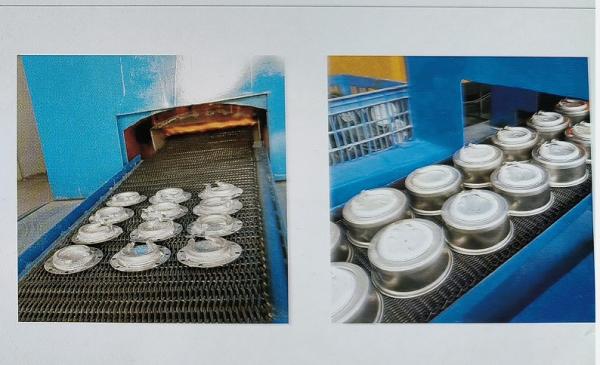 Forno Elétrico Progressivo e Económico para o Anilhamento Brilhante de Aço Inoxidável