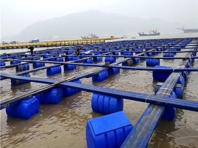 Pontoón de tubería de HDPE Jaula para la cría de peces 200 mm/250 mm/450 mm/500 mm en un lago o estanque