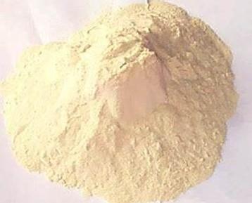 Gluteno em pó de trigo saudável sabor típico de trigo para alimentos de massa