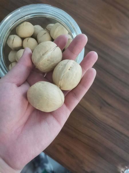 Factory Wholesale 10kg/bag raw 185/33/xin2/xingfu walnuts Amazon’s best-selling products