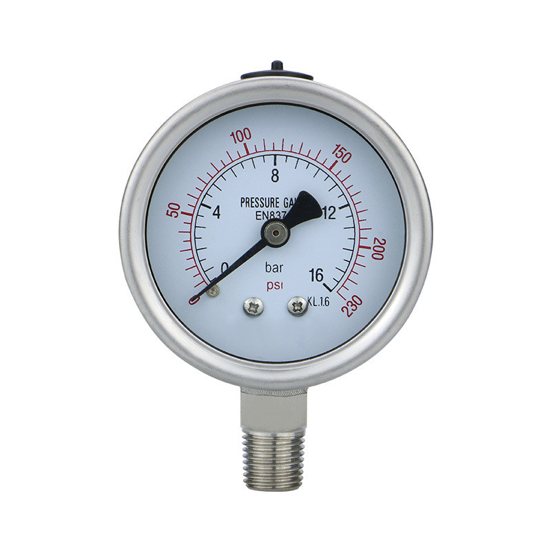 16bar 2.5-inch NPT1/4 Thread Connection 304ss Stainless Steel Pressure Gauges for Outlet