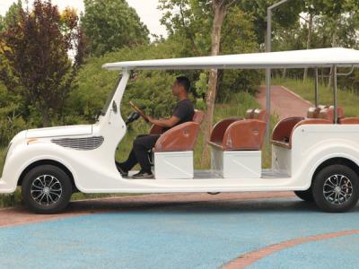 11 Person Electric Classic Golf Cart 48 Volt Lithium Battery ODM
