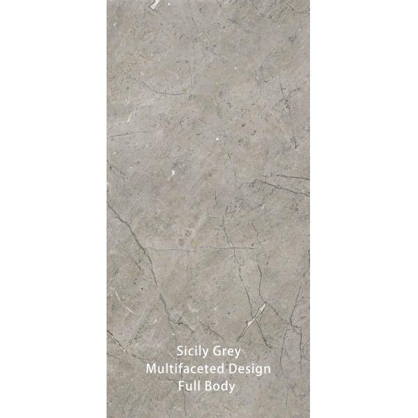 600 X 1200 MM Grey Vintage Textured Stone Imitation Surface Modern Bathroom Tiles