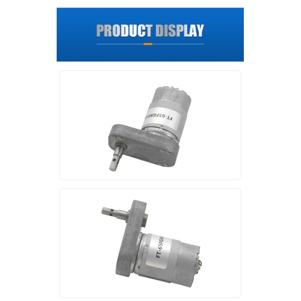 Brushed DC Flat Gear Motor Low Noise 12V DC Gear Motor FT-65FGM545