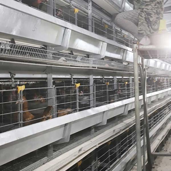 Клетка цыпленка пирамиды высокой эффективности, автоматическое птицы питаться оборудование