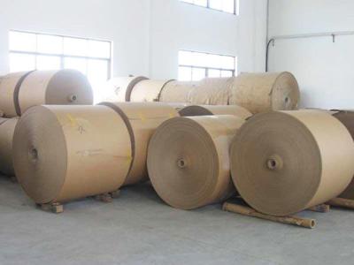 7oz 190gsm white kraft paper +18gPE single wall pe coated paper for vending machines hot