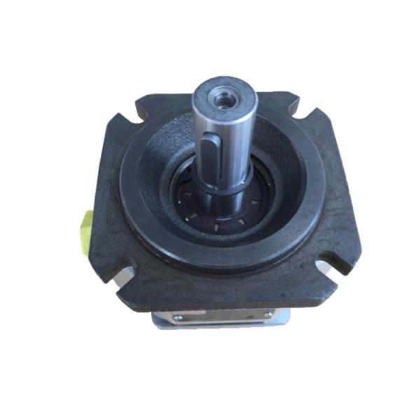 Rexroth PGF2-22 006RE01VE4 Pompe à engrenages hydrauliques à haut rendement Sécurité Nouveau