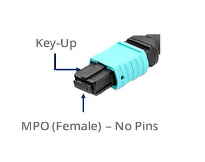 Female To Female OM5 MTP MPO Fiber Cable 12 Fibers Type B Plenum OFNP