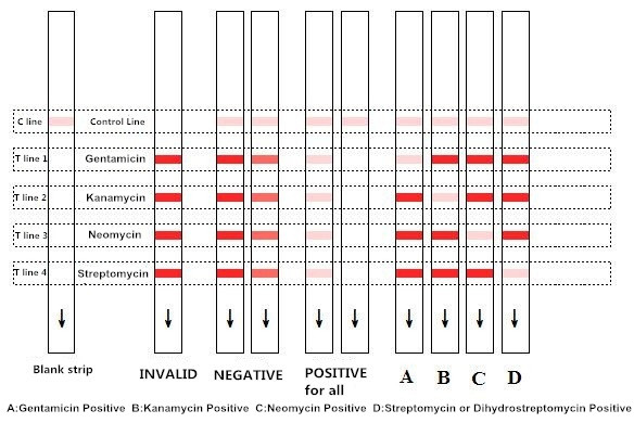 неомицин Kanamycin гентамицина прокладок теста антигена 10min и молоко стрептомицина комбинированное быстрое