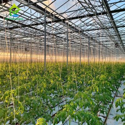 Equipamento Soilless do cultivo da alface