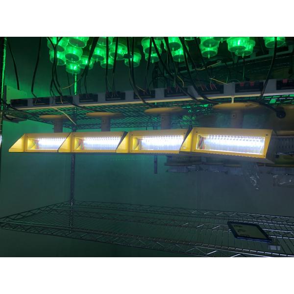 CREE Ultra High Intensity LED Steady Burning Helipad Landing Light with 100000 Hours Lifespan