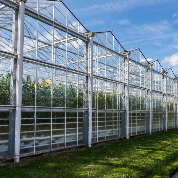 Tipo bonito estufa de Venlo da estufa da aparência de Steepletop para flores