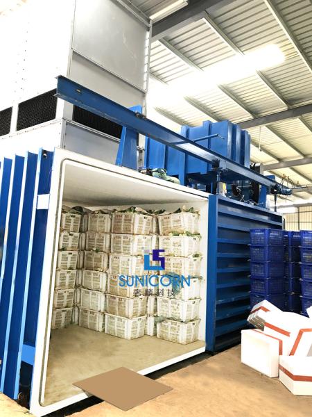 High Durability Hydro Vacuum Cooling 1 - 24 Pallets With PLC Control System