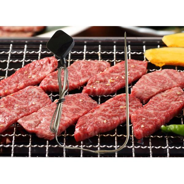 Stainless Steel Cable Bluetooth Probe Thermometer Wireless Cooking Android System