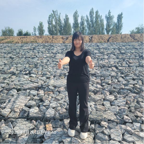 Heavy Duty Woven Gabion Baskets  Hexagonal Stone Gabion Mesh Engineering Slope Stabilization Zinc Coated