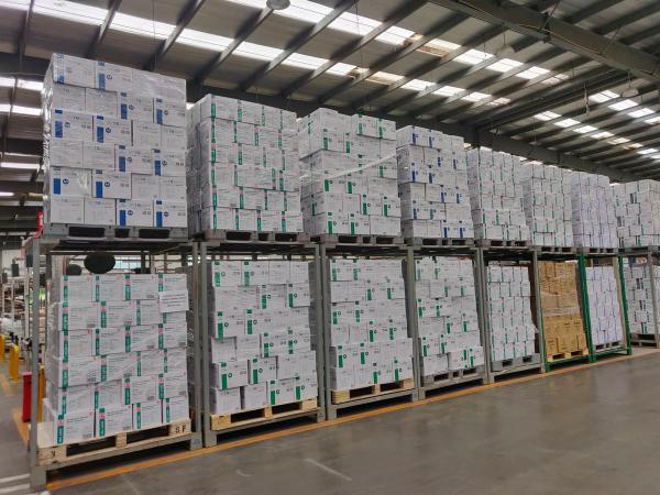 Dustless Latex Free White Disposable Vinyl Gloves
