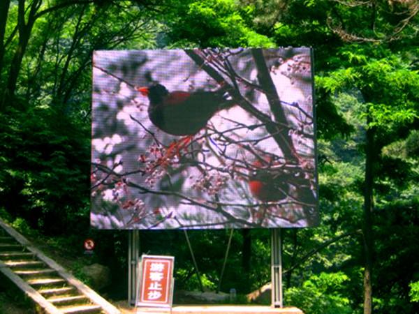 Waterproof IP65 1/4 scan 7000cd/㎡ high brightness Kinglight Nationstar P8 smd outdoor led display