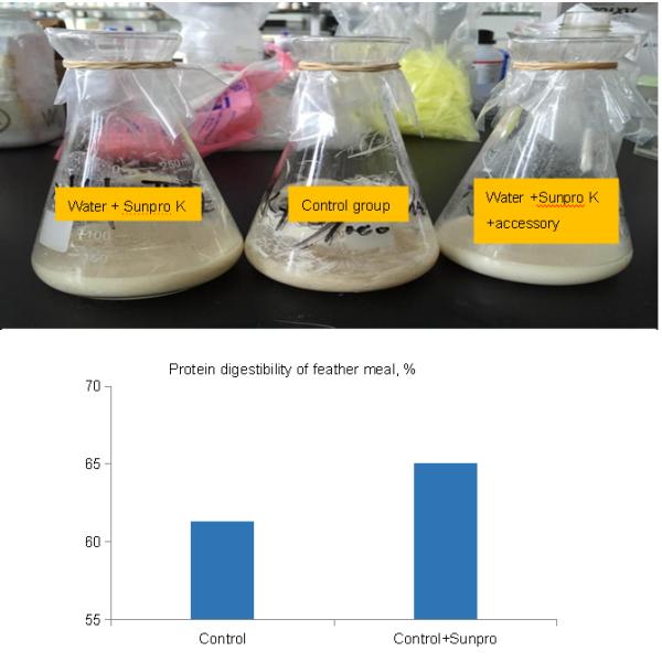 Powder Form 1000u/G Animal Feed Enzymes Keratinase Enzyme For Feather Meal