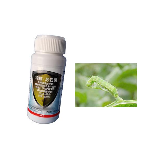 Insecticides biologiques écologiques pour la protection des cultures