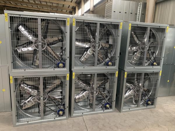 Long Using Time 1380mm Industrial Small Shutter Hammer Exhaust Fan for Poultry Farm Temperature Cooling System