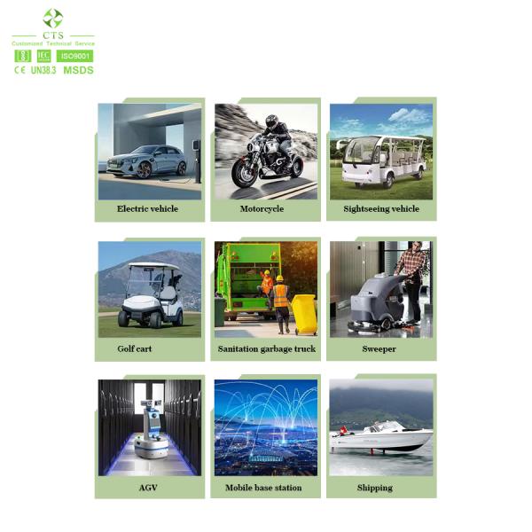 Cargador OBC IP67 de 3.3KW y 6.6KW, Cargador a bordo para vehículos eléctricos para baterías NCM LFP