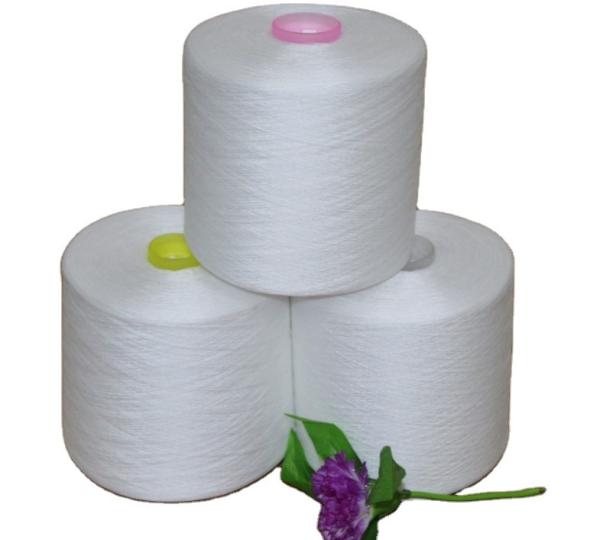 20/3 30/2 40/2 100% Ring Spun Polyester Yarn Raw White Polyester Twisted Yarn Price