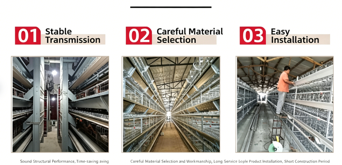 High-rise Multi-tier Hot-dip Galvanized Layer Cage System for Automated Poultry Farming