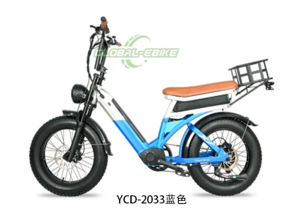 20 Inch Fat Tyre Electric Bike With Disc Brakes , 48V 1000W Big Tire Electric Bicycle
