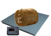 Carbon Steel 1500Kg Electronic Floor Scale With Ramp Digital Floor Scale