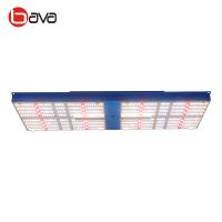 Le plein panneau Oslon 660nm LED de SAMSUNG LM301B de spectre de Sunlike élèvent les kits légers