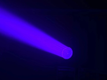 37X40W LED Bee Eye K25