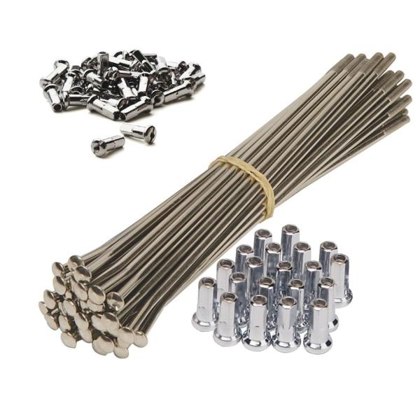 Stainless Steel Spokes and Gold Alloy Nipples for Motorcycle Repair/Replacement