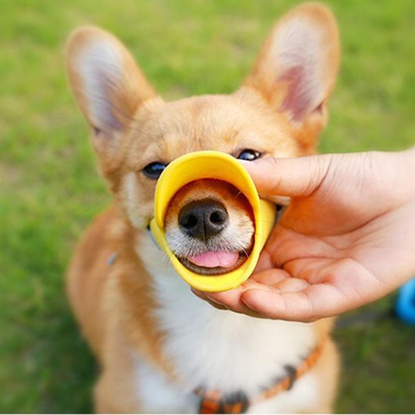 Sustainable Silicone Pet Supplies Porous Breathable Soft Silicone Dog Muzzle