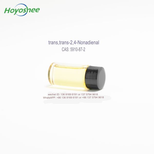 99% Purity trans,trans-2,4-Nonadienal CAS 5910-87-2 with Fatty Floral Odor for Flavor Intermediate