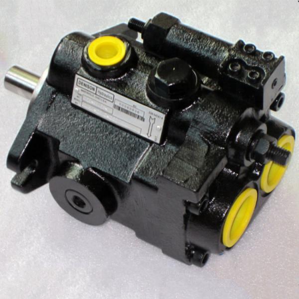 Parker Denison Axial Piston Pump , High Pressure Hydraulic Pump PV29-1R1D-C02