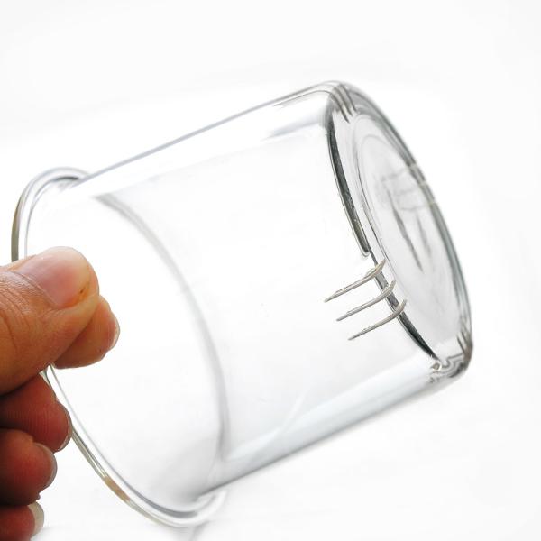 Home Clear Glass Tea Kettle , Blooming Loose Leaf Heat Resistant Glass Teapot