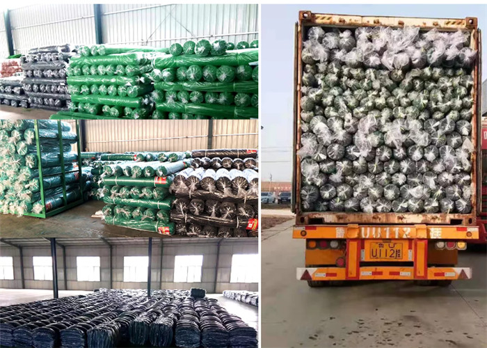 Сеть 100% тени Hdpe длины зеленого цвета 100m 6 лет