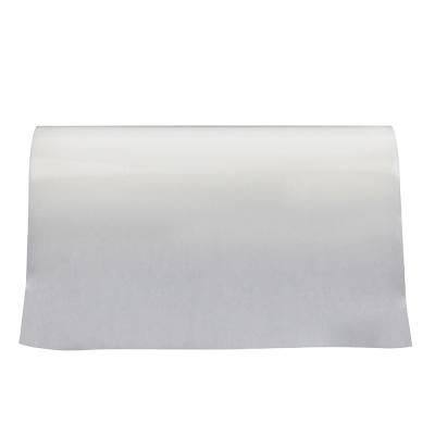 Remendo quente transparente do bordado do filme esparadrapo do derretimento da tela de matéria têxtil do filme do Polyolefin de 0.05mm
