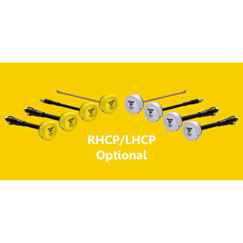 RunCam SpeedyBee 5.8GHz FPV Racing Drone Multirotor Antenna 2.0Dbi RHCP LHCP SMA/RP-SMA/UFL/MMCX 2pcs Security Protection